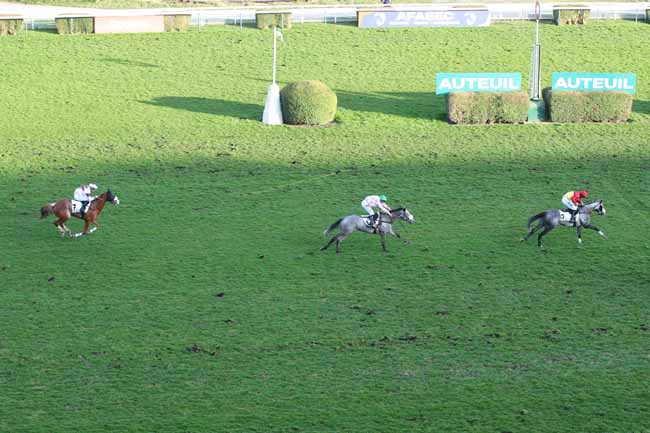 Photo d'arrivée de la course pmu PRIX CHINCO à AUTEUIL le Dimanche 2 mars 2025