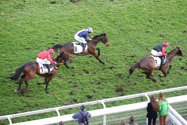 Photo d'arrivée de la course pmu PRIX DE LA SOURCE à AUTEUIL le Dimanche 2 mars 2025