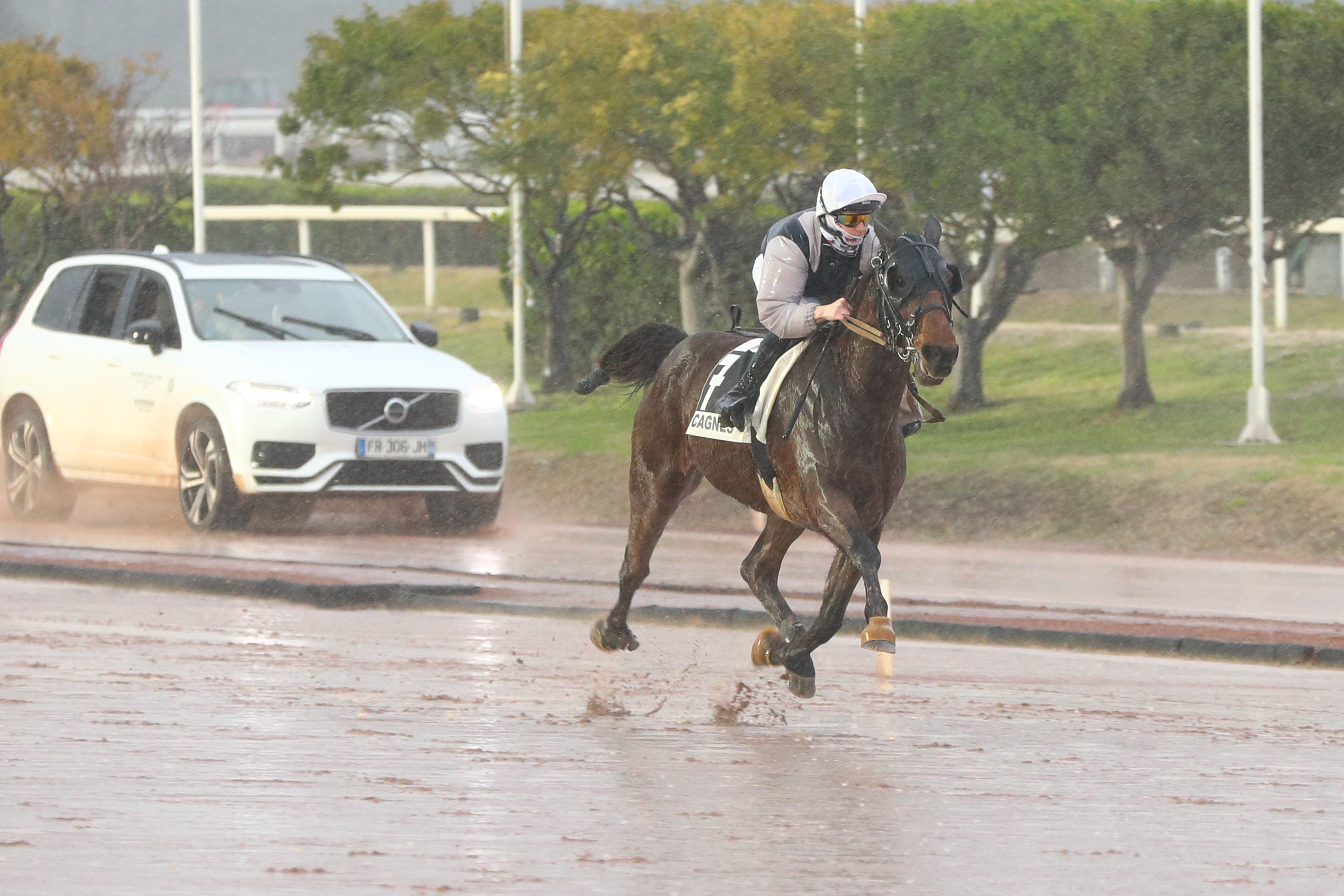 Photo d'arrivée de la course pmu PRIX SENIORS DES COURSES à CAGNES-SUR-MER le Dimanche 9 mars 2025