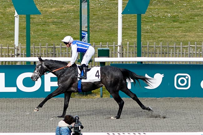 Photo d'arrivée de la course pmu PRIX MONTJEU à CHANTILLY le Dimanche 9 mars 2025