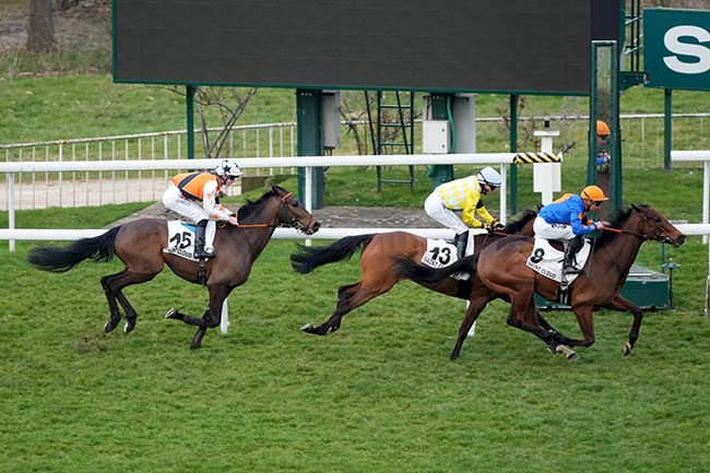 Photo d'arrivée de la course pmu PRIX DE LA GAILLARDERIE à SAINT CLOUD le Dimanche 16 mars 2025