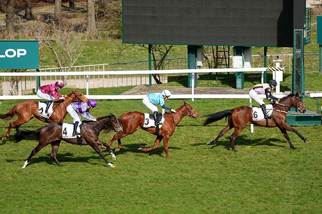 Photo d'arrivée de la course pmu PRIX DU DEBUT à SAINT CLOUD le Jeudi 20 mars 2025