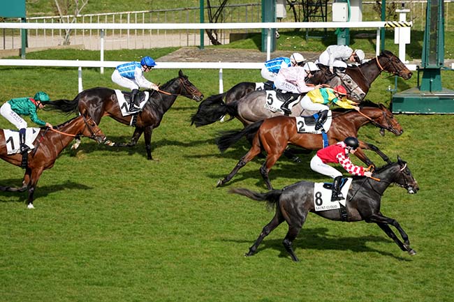 Photo d'arrivée de la course pmu PRIX SUAVE DANCER à SAINT CLOUD le Jeudi 20 mars 2025