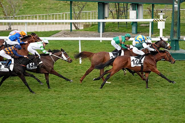 Photo d'arrivée de la course pmu PRIX DU PETIT MORIN à SAINT CLOUD le Jeudi 20 mars 2025