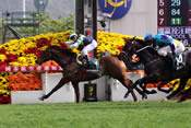 La photo de Sacred Kingdom hong kong sprint