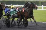 La photo de Rose D'Acadie  hippodrome de paris-vincennes, quinté+ prix de chenonceaux  ,  quinté plus nocturne, quinté+, quinté plus, pronostic pmu, rapports pmu, pronostic pmu