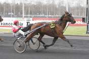 La photo de Piombino pronostic pmu quinté hippodrome de vincennes