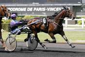 La photo de Titan D'Occagnes rapports pmu, pronostic quinté, hippodrome de vincennes