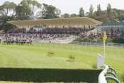 La photo de Hippodrome De Dieppe hippodrome de dieppe, pronostic pmu, rapports courses hippiques, quinté