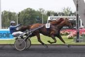 La photo de Roc Meslois hippodrome de vincennes course pmu, pronostic quinté gratuit, turf, résultat pmu