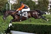 La photo de Reglis Brunel pronostic pmu, résultat betclic, pronostic quinté gratuit, turf, hippodrome