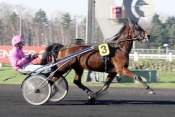 La photo de Swedishman  hippodrome de Paris-Vincennes, Prix d'amérique 2011,  quinté+ prix de Cornulier, ready cash,  quinté plus nocturne, quinté+, quinté plus, pronostic p