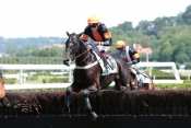 La photo de Le Tranquille  hippodrome d'Auteuil,  defi du galop, , steeple-chase, haies, courses d'obstacles, quinté+, pronostics pmu gratuits, quinté, quinté plus ,