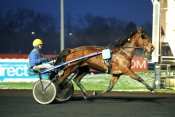 La photo de Trotting Race  hippodrome de Paris-Vincennes, criterium des jeunes,   quinté+ prix de Cornulier, ready cash,  quinté plus nocturne, quinté+, quinté plus, pronostic 