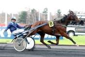 La photo de Quiby Des Caillons  hippodrome de Paris-Vincennes, criterium des jeunes,   quinté+ prix de Cornulier, ready cash,  quinté plus nocturne, quinté+, quinté plus, pronostic 