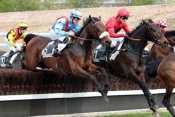 La photo de Roi Du Val Questarabad  hippodrome d'Auteuil, Prix Lutteur III , Prix general de rougemont, steeple-chase, haies, courses d'obstacles, quinté+, pronostics pmu gratuits, quin