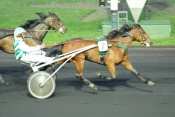 La photo de Une Lady En Or trot attelé, trot monté, quinté+ prix de Cornulier, ready cash,  quinté plus nocturne, quinté+