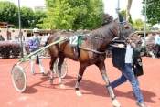 La photo de Silice Danica trot attelé, trot monté, quinté+,  quinté plus nocturne, quinté+, pronostic pmu, rapports pmu, pronostic quinté gratuit, turf, pmu