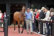 La photo de Ventes Deauville 