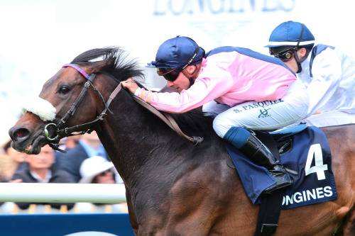 La photo de Steel Blade PRIX GRAND HANDICAP LONGINES CHANTILLY