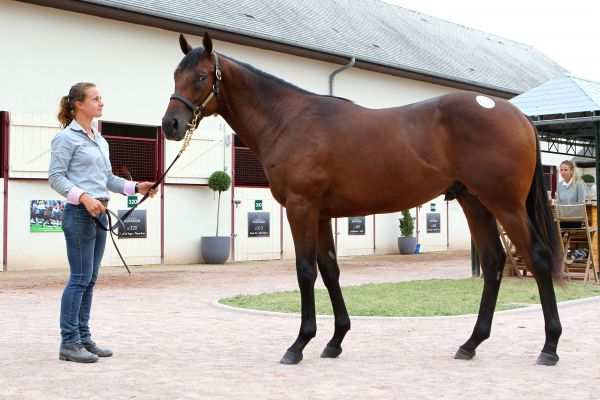 La photo de Dubawi & Pacifique 