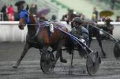 La photo de Timoko 