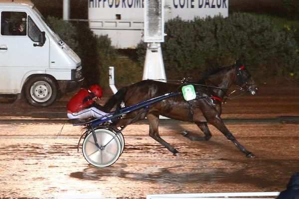 La photo de Sire De La Creuse 