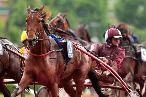 La photo de Utinka Selloise PRIX DE L'OBELISQUE ENGHIEN SOISY