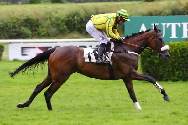 La photo de STAR DES VALOIS