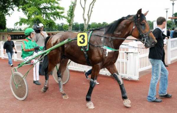 La photo de Arno De Bossens 