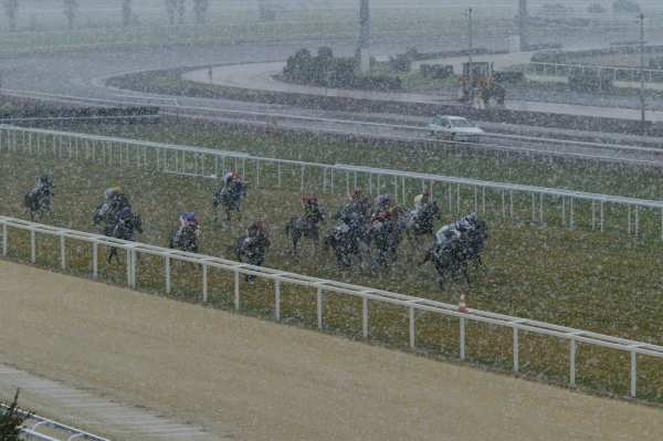 La photo de Cagnes Sur Mer 