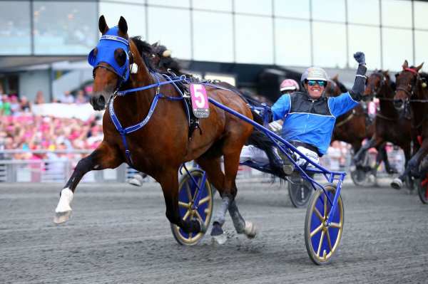 La photo de Timoko 