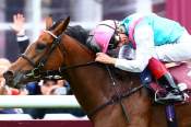 La photo de Enable Quinté+ PMU Qatar Prix de l'Arc de Triomphe 2018 à Paris Longchamp