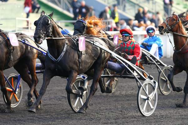 La photo de Valko Jenilat Course PMU PRIX DU BOIS DE VINCENNES