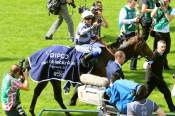 La photo de Study Of Man Quinté+ PMU QIPCO PRIX DU JOCKEY CLUB 2018 à Chantilly Stéphane PASQUIER - 