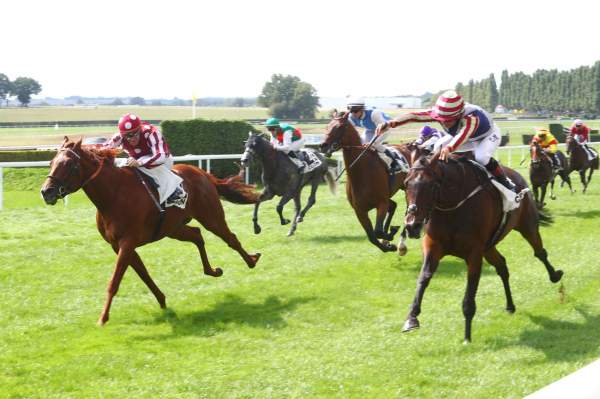 La photo de Maifalki Défi du Galop PRIX DIRICKX - GRAND PRIX DE LA VILLE DE CRAON-MAYENNE