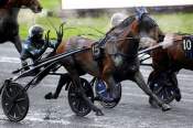 La photo de Excellent Course pmu PRIX DE MONTREAL à Vincennes