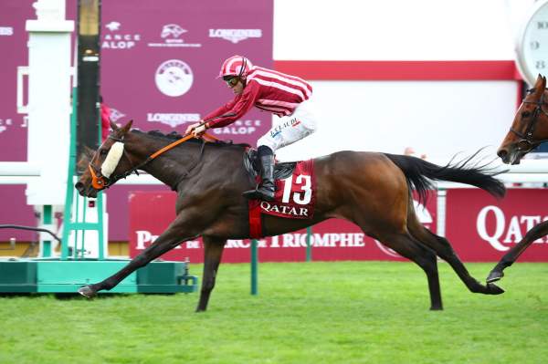 La photo de Made To Lead Quinté+ Pmu Qatar Grand Handicap des Juments 2019 à ParisLongchamp