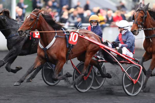 La photo de Calina Course Pmu Prix Narquois 2019 à Paris-Vincennes