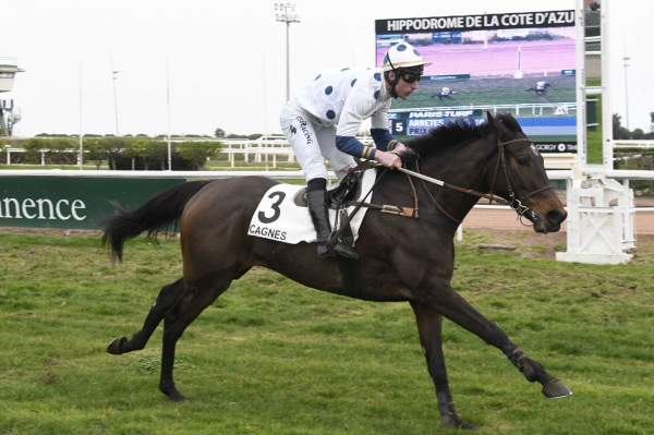 La photo de Baie Boy Quinté+ Pmu Prix Prix Philippe Lorain 2019 à Cagnes-sur-Mer