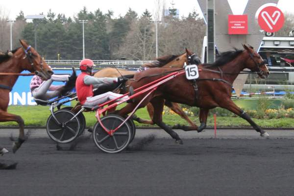 La photo de Chica De Joudes Quinté+ Pmu Prix de Bar-le-Duc 2019 à Paris-Vincennes