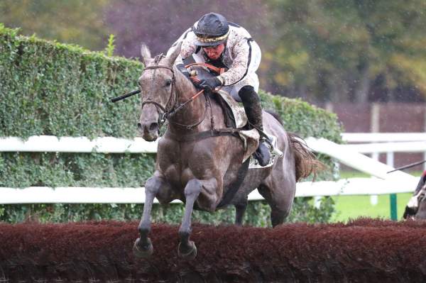 La photo de Starlet Du Mesnil 