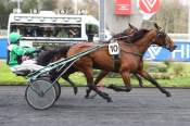 La photo de Unique Juni PRIX EMILE ALLIX COURBOY  QUINTE+ hippodrome de VINCENNES
27/02/2020