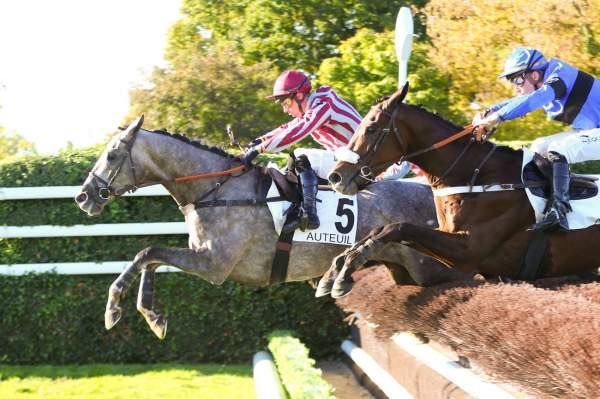 La photo de Golden Son Arrivée PMU Prix Georges de Talhouet-Roy à Auteuil