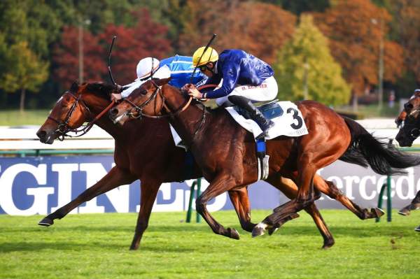 La photo de Seachange Arrivée PMU PRIX DU CONSEIL DE PARIS Hippodrome de Paris Longchamp
17/10/2021