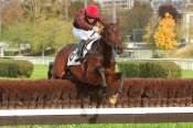 La photo de Kyrov Arrivée PMU PRIX CAMBACERES - GRANDE COURSE DE HAIES DES Hippodrome d'AUTEUIL 07/11/2021