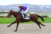 La photo de Bosioh ARRIVEE PRIX DE GIVERNY - QUINTE + HIPPODROME DE DEAUVILLE
23/12/2021 