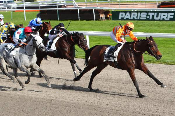 La photo de Interieur Arrivée Quinté PMU Prix de Sainte Maxime Hippodrome de Cagnes sur Mer 20/02/2021