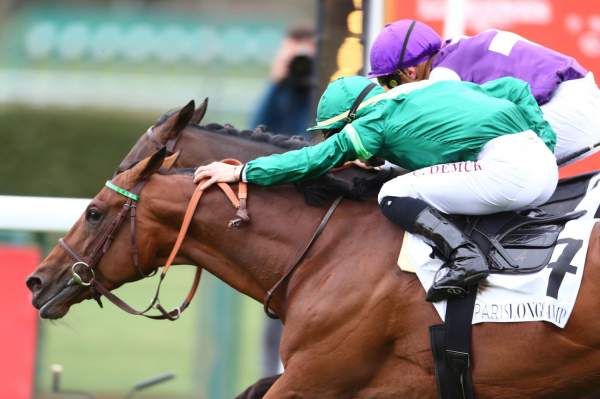 La photo de Cheshire Academy Arrivée PMU Prix Noailles Hippodrome de Longchamp 11/04/2021