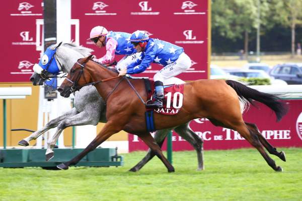 La photo de Ebraz Arrivée PMU Qatar Cup - Prix Dragon 2021 à ParisLongchamp